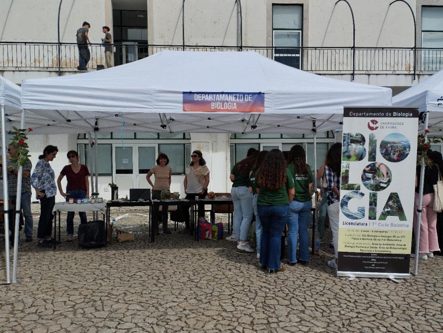 Stand